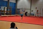 DSC_0106