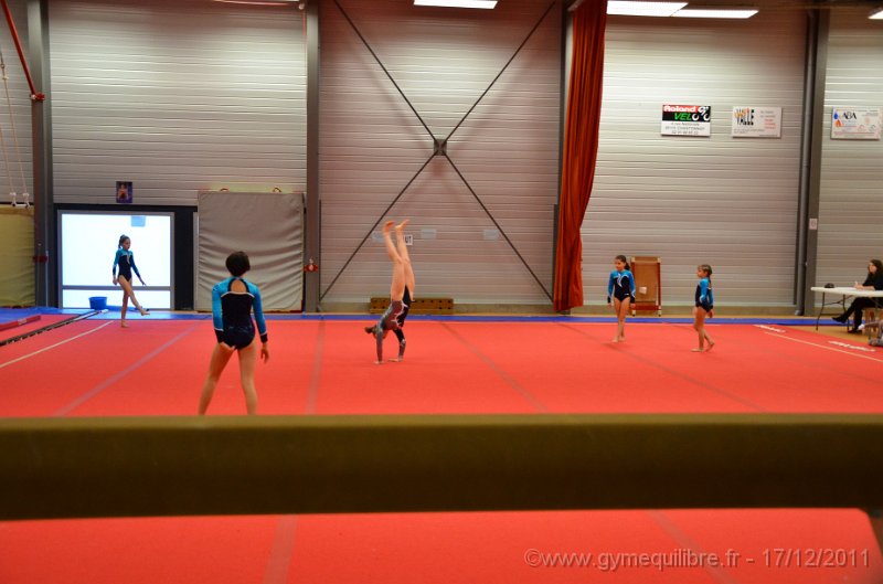 DSC_0611.JPG