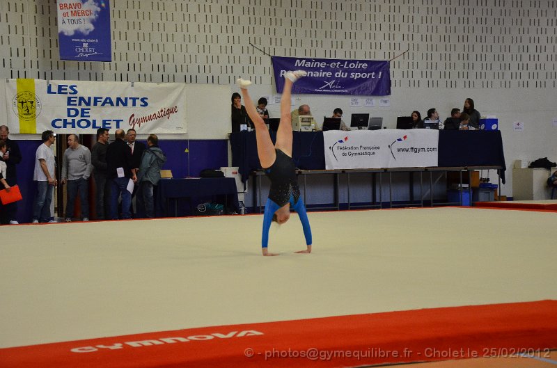 DSC_1508.JPG