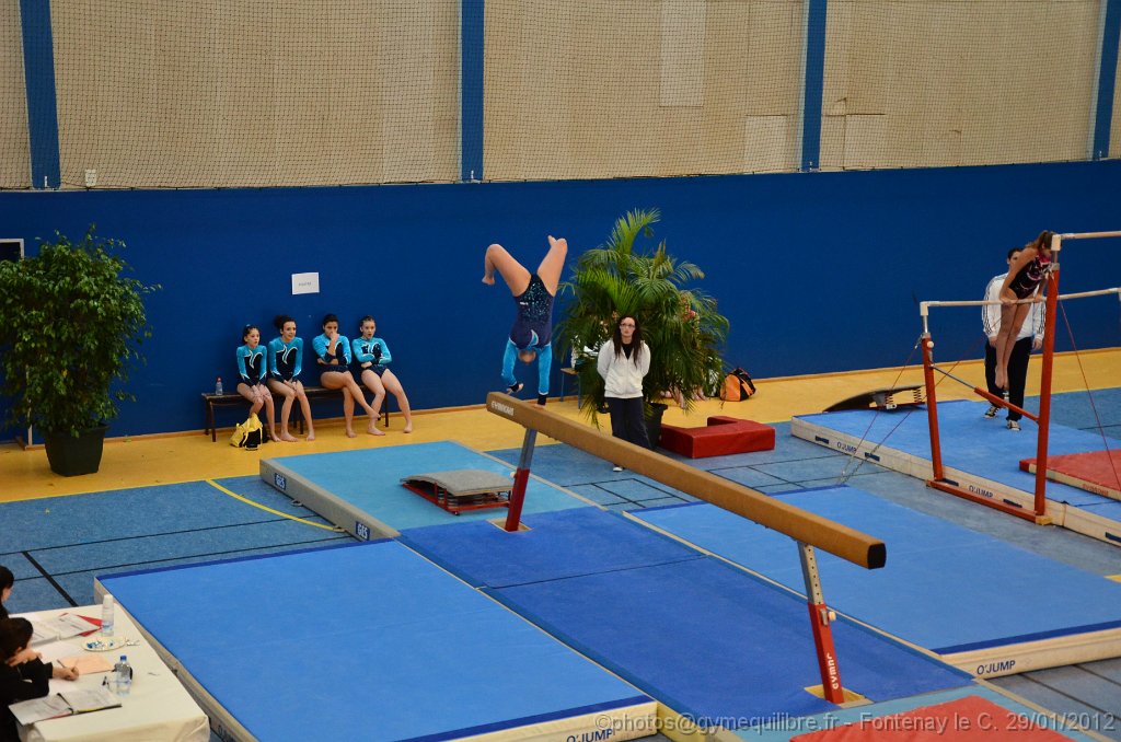 DSC_0086.JPG