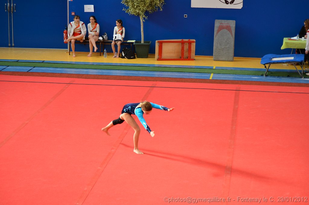 DSC_8434.JPG