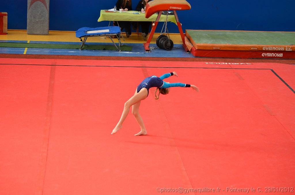 DSC_8474.JPG