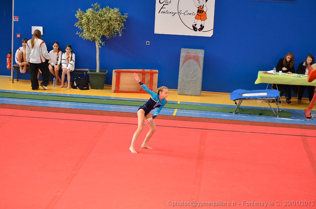 DSC_8482.JPG