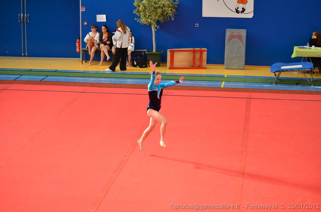 DSC_8518.JPG