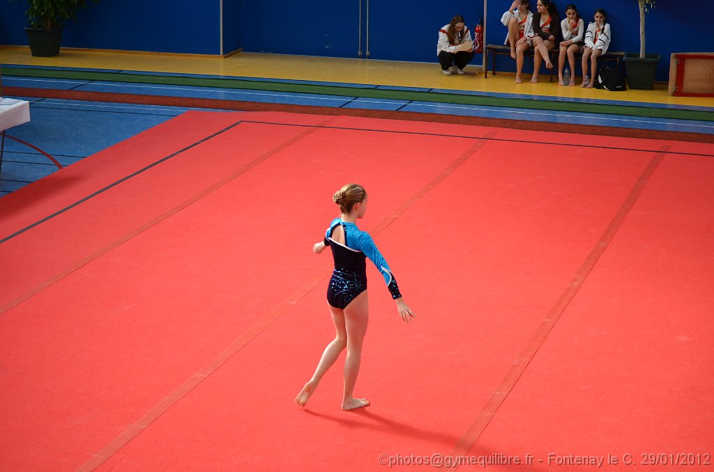 DSC_8538.JPG