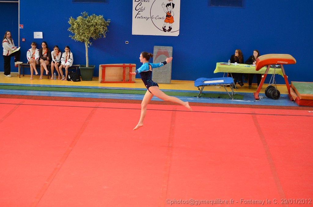 DSC_8568.JPG