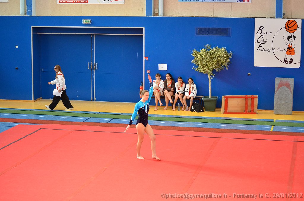 DSC_8570.JPG