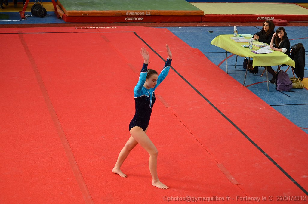 DSC_8575.JPG