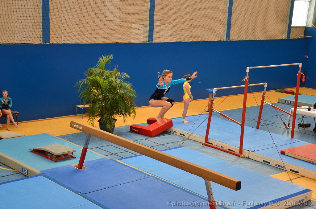 DSC_9133.JPG