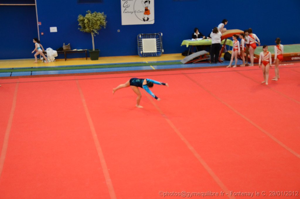 DSC_9635.JPG