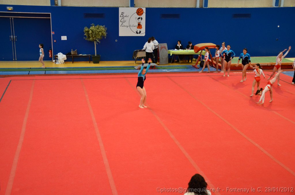 DSC_9653.JPG