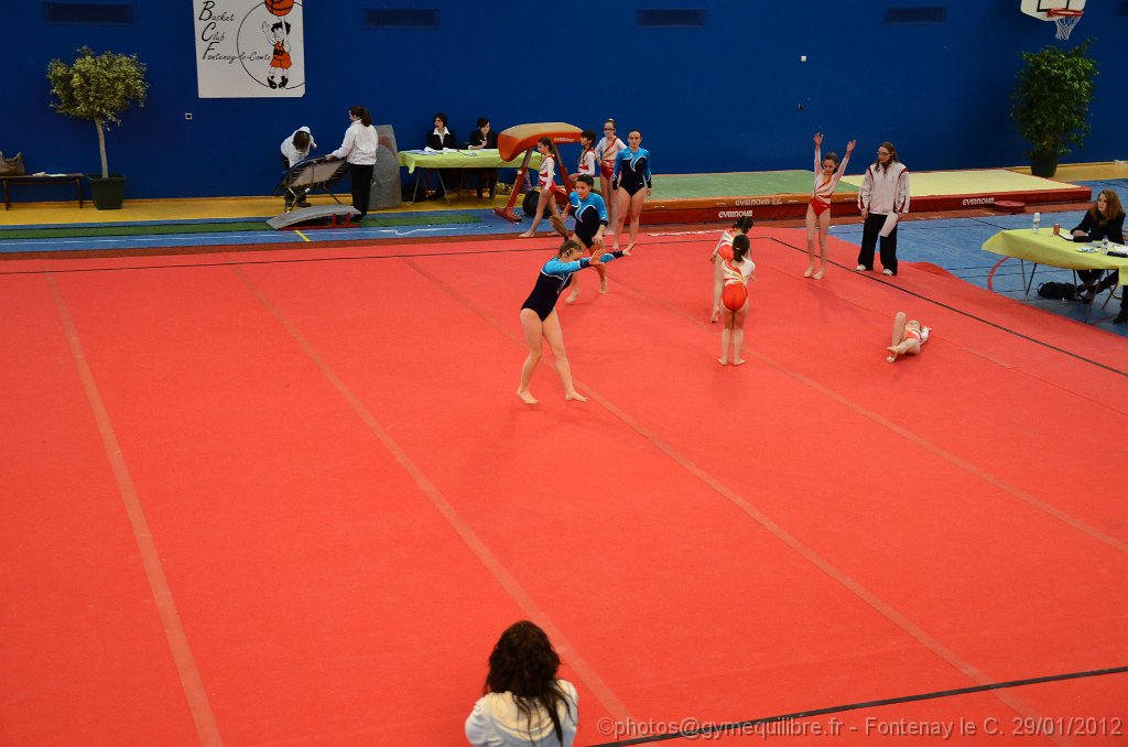 DSC_9655.JPG