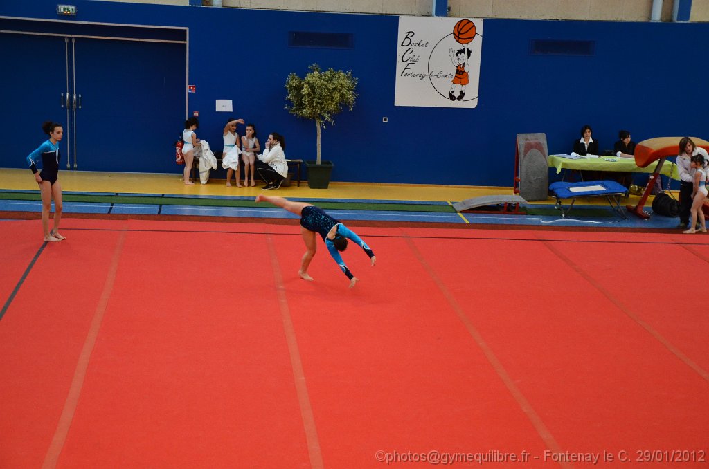 DSC_9663.JPG