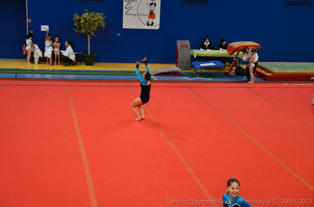 DSC_9664.JPG