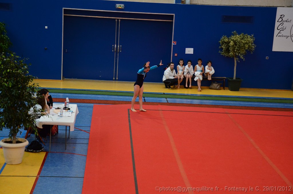 DSC_9774.JPG