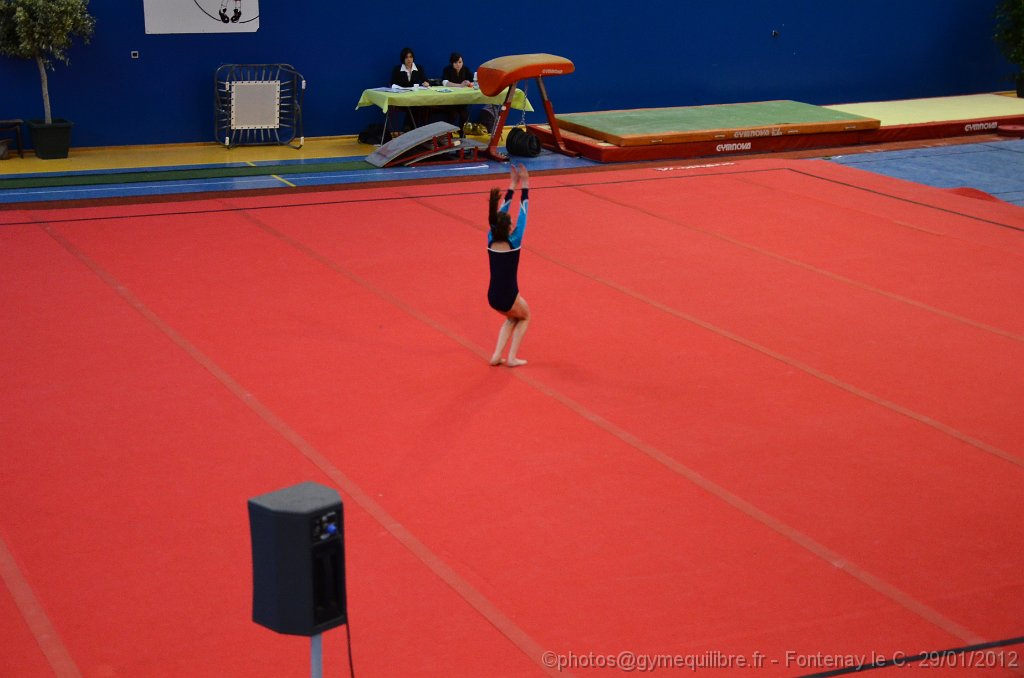DSC_9841.JPG