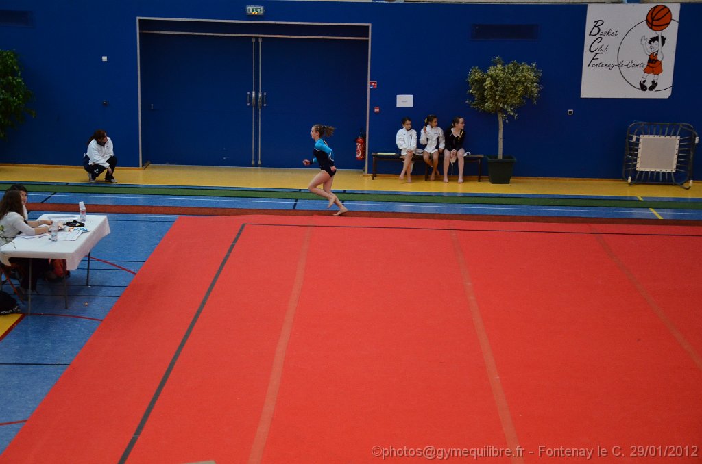 DSC_9910.JPG