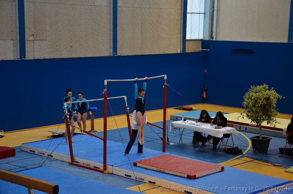 DSC_9940.JPG