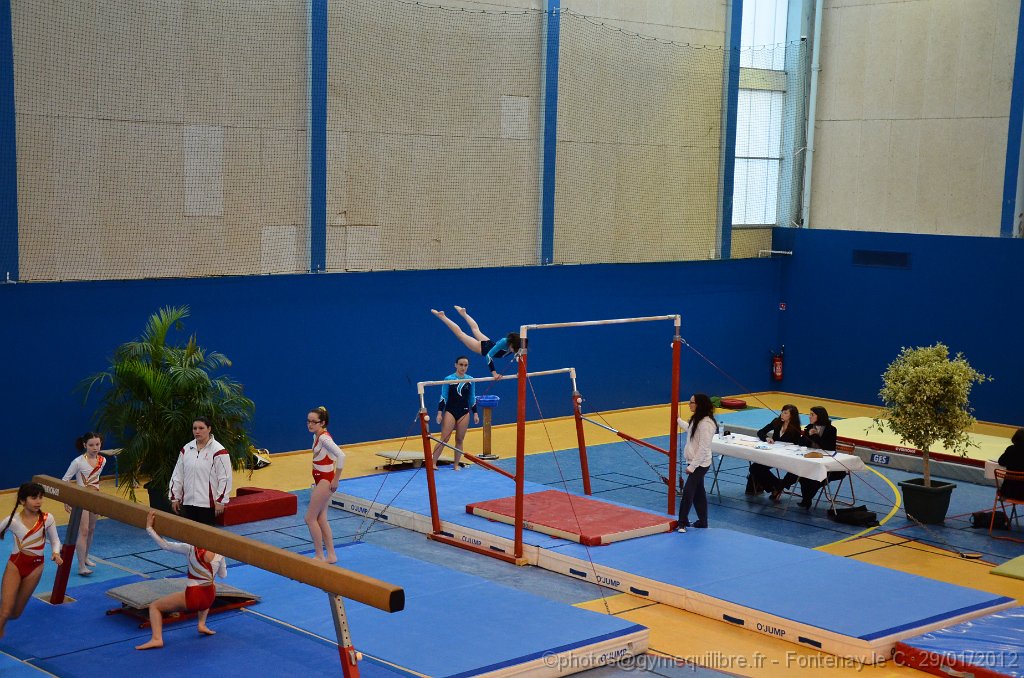 DSC_9956.JPG