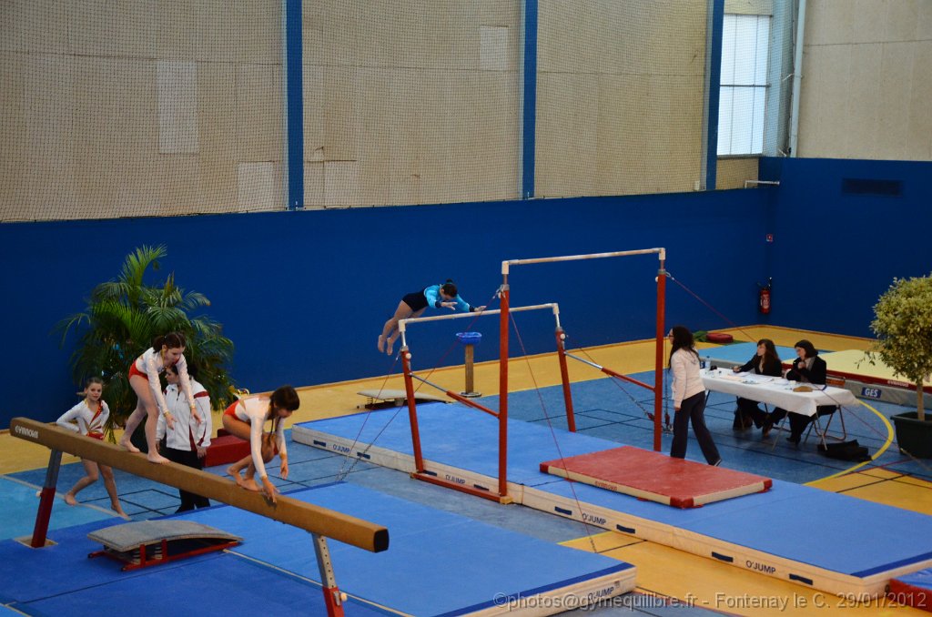 DSC_9967.JPG