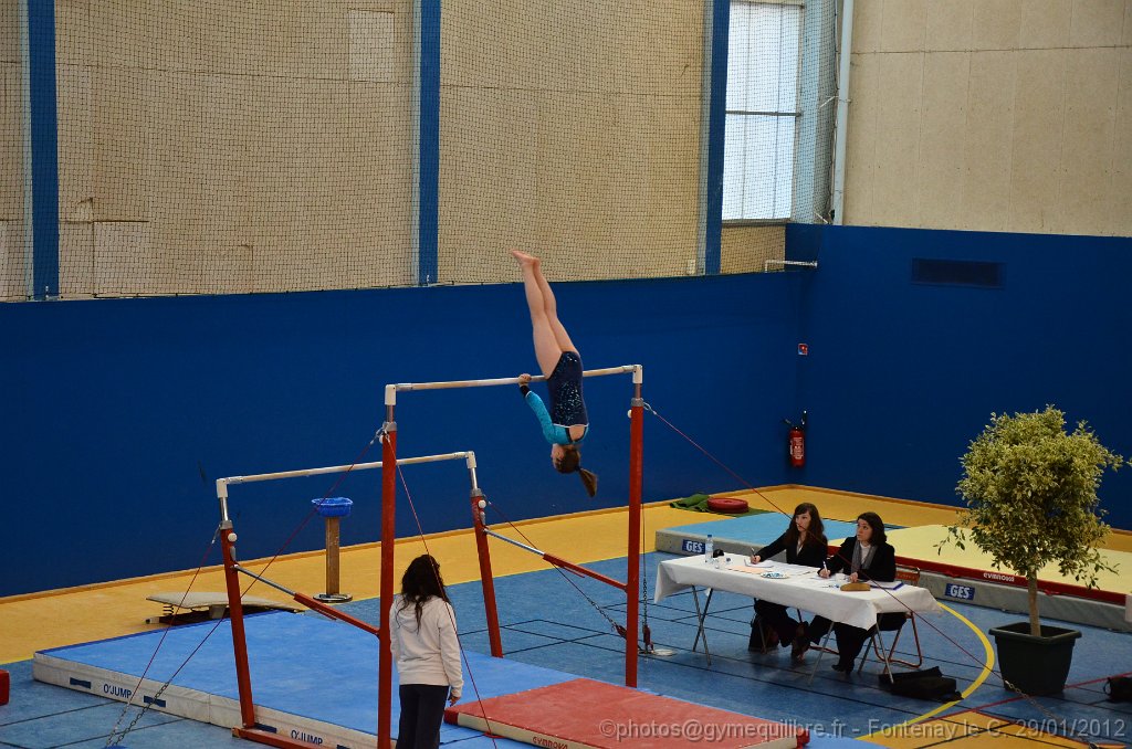DSC_9995.JPG