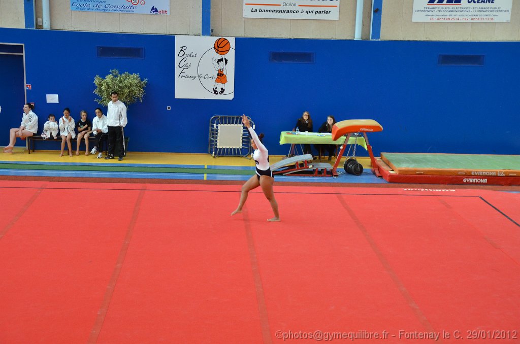 DSC_8145.JPG