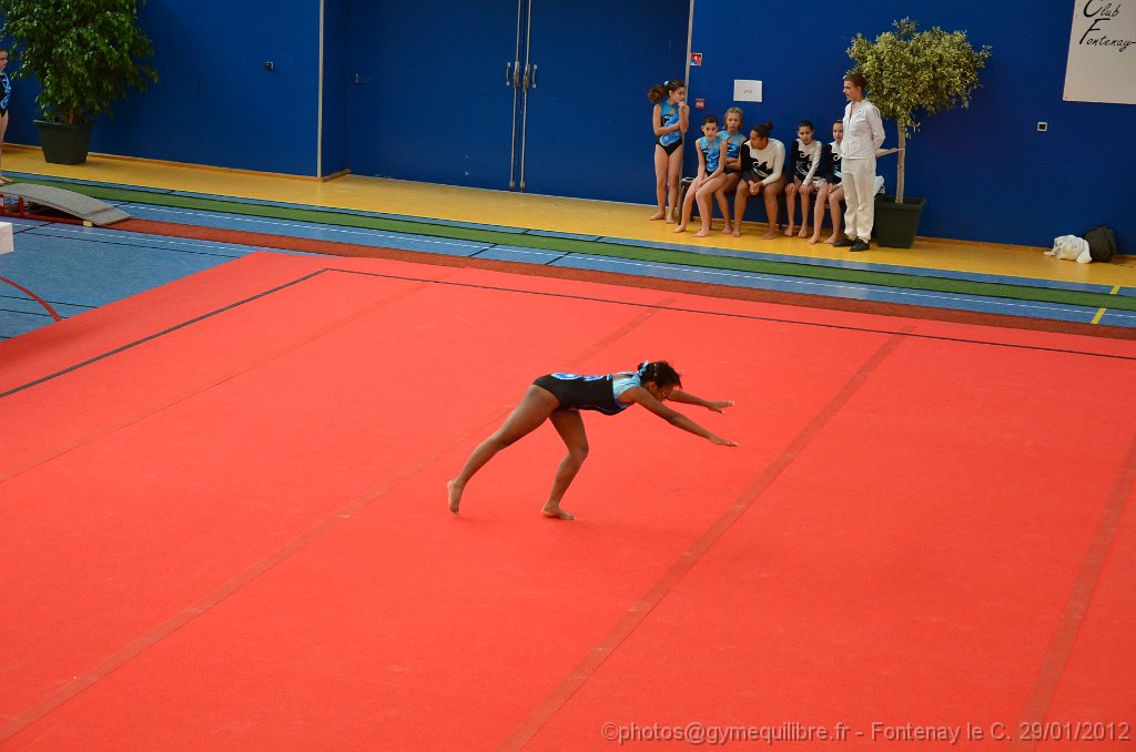 DSC_8164.JPG