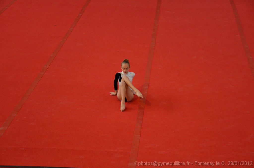 DSC_8179.JPG