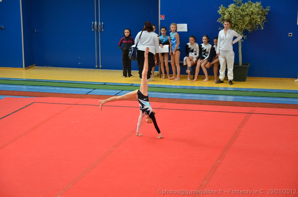 DSC_8186.JPG