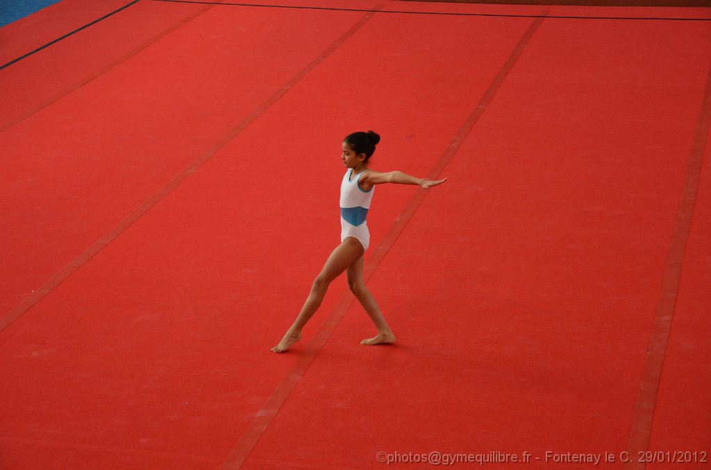 DSC_8264.JPG