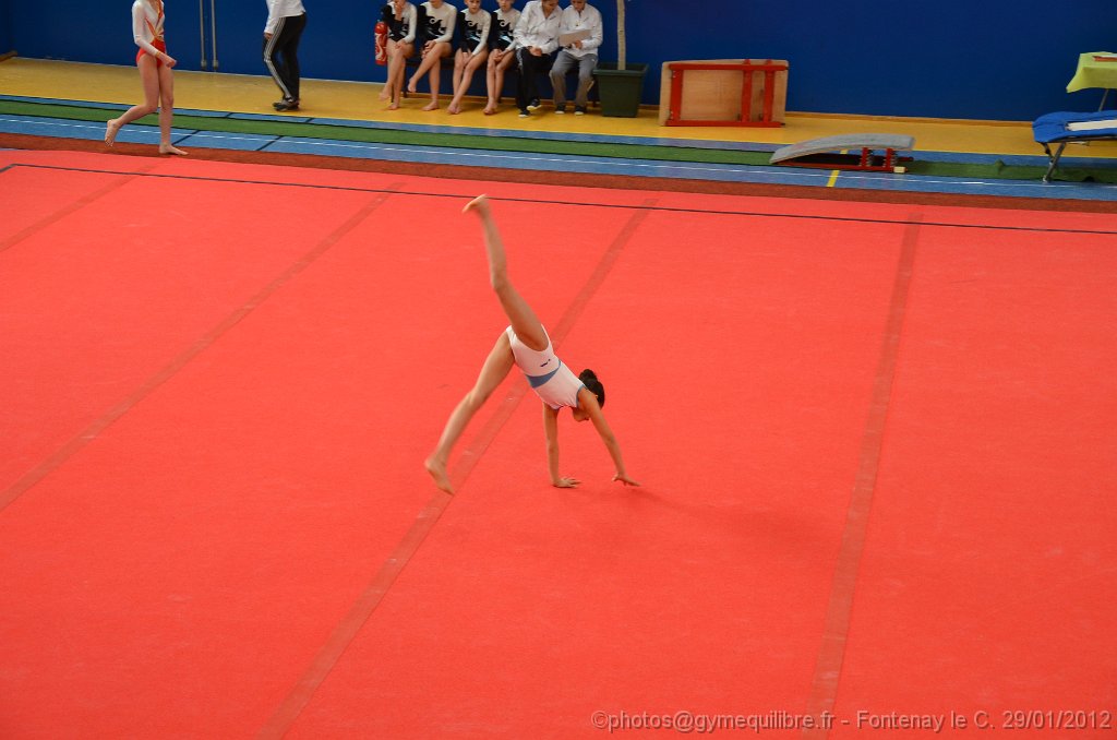 DSC_8268.JPG