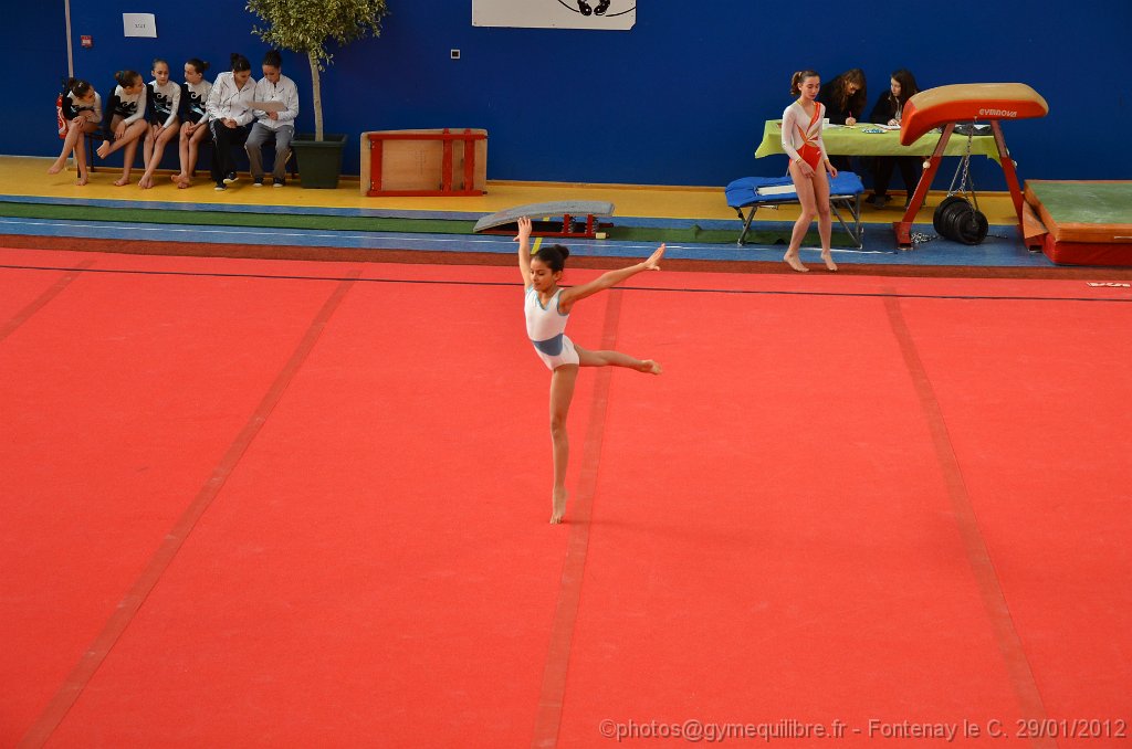 DSC_8271.JPG