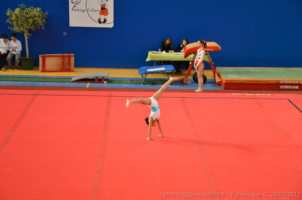 DSC_8272.JPG