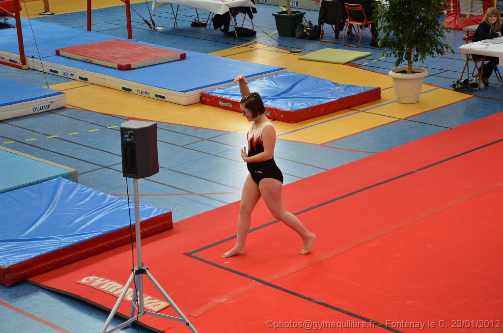DSC_8278.JPG