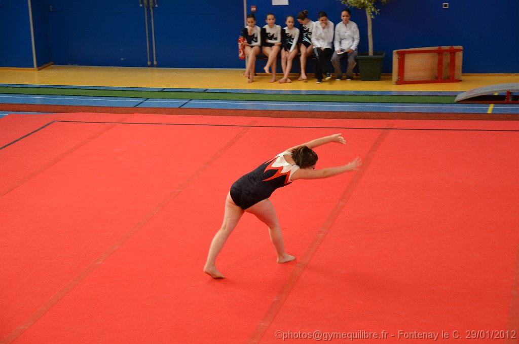 DSC_8280.JPG
