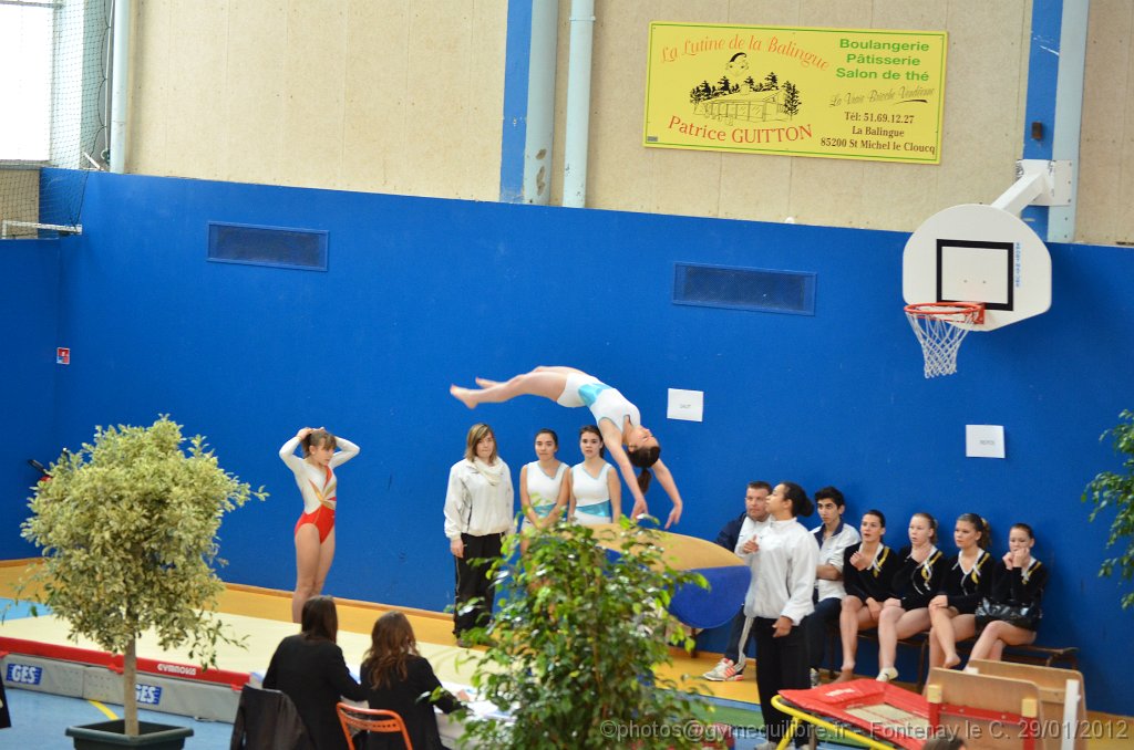 DSC_8422.JPG