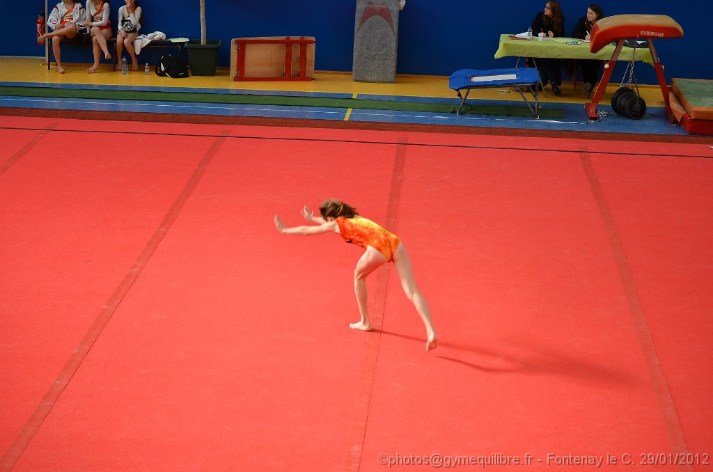 DSC_8448.JPG