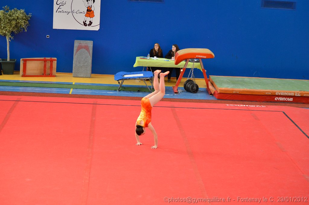 DSC_8583.JPG