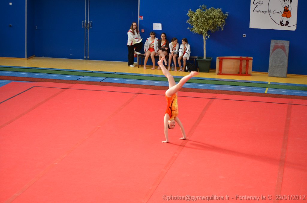 DSC_8586.JPG