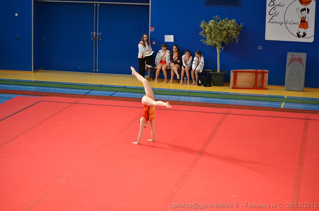 DSC_8588.JPG
