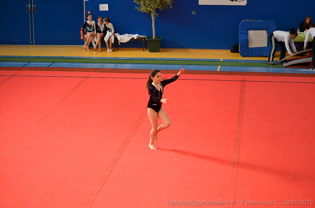 DSC_8610.JPG