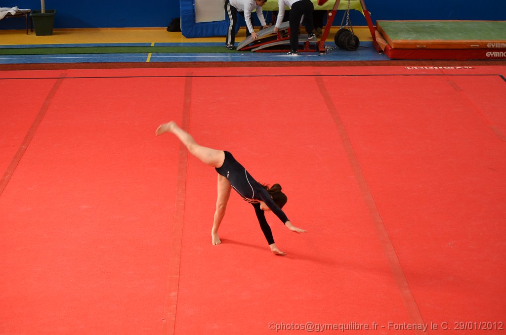 DSC_8611.JPG