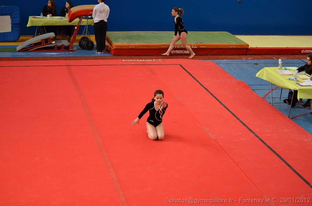 DSC_8615.JPG