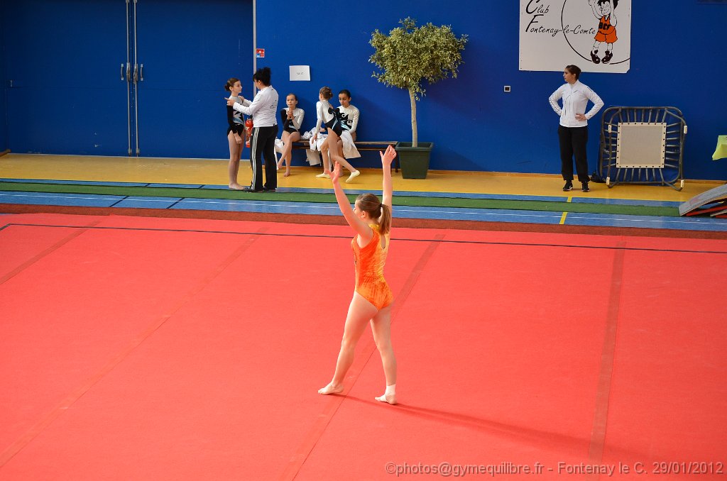 DSC_8662.JPG