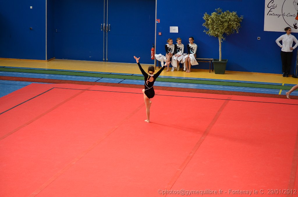 DSC_8667.JPG