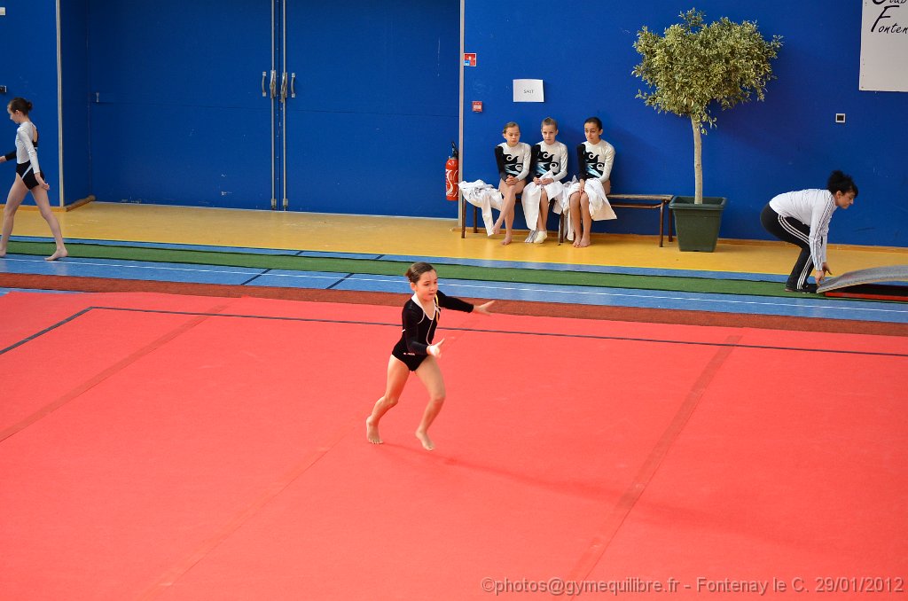 DSC_8670.JPG