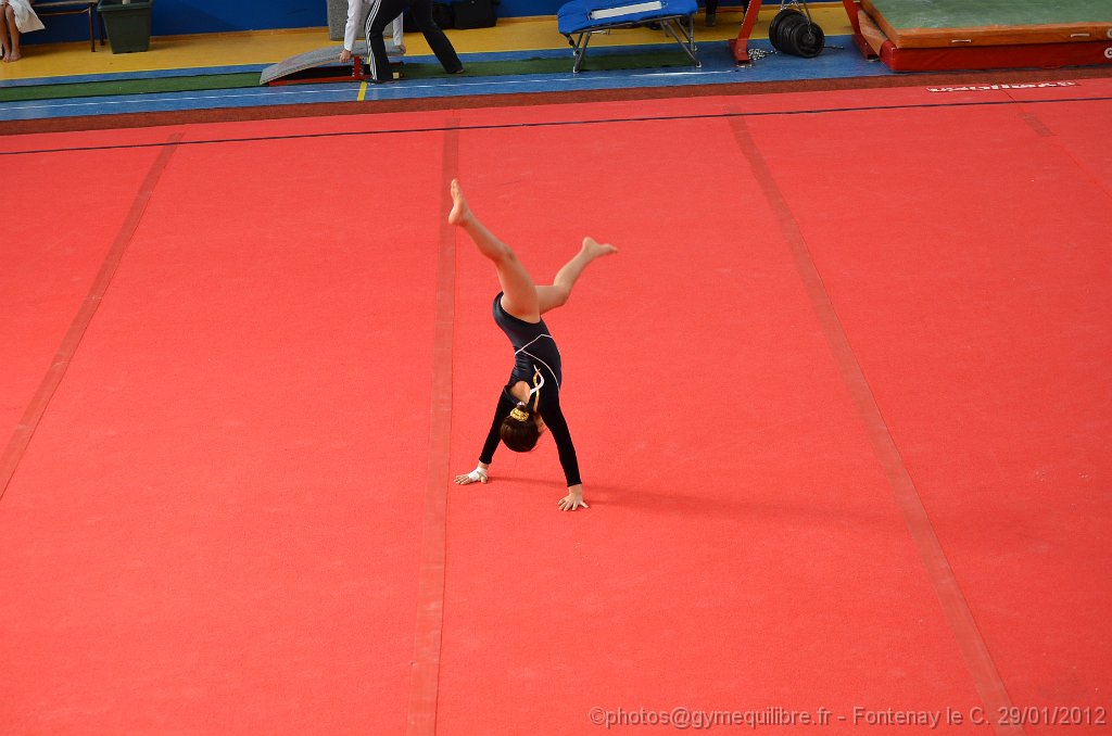 DSC_8678.JPG