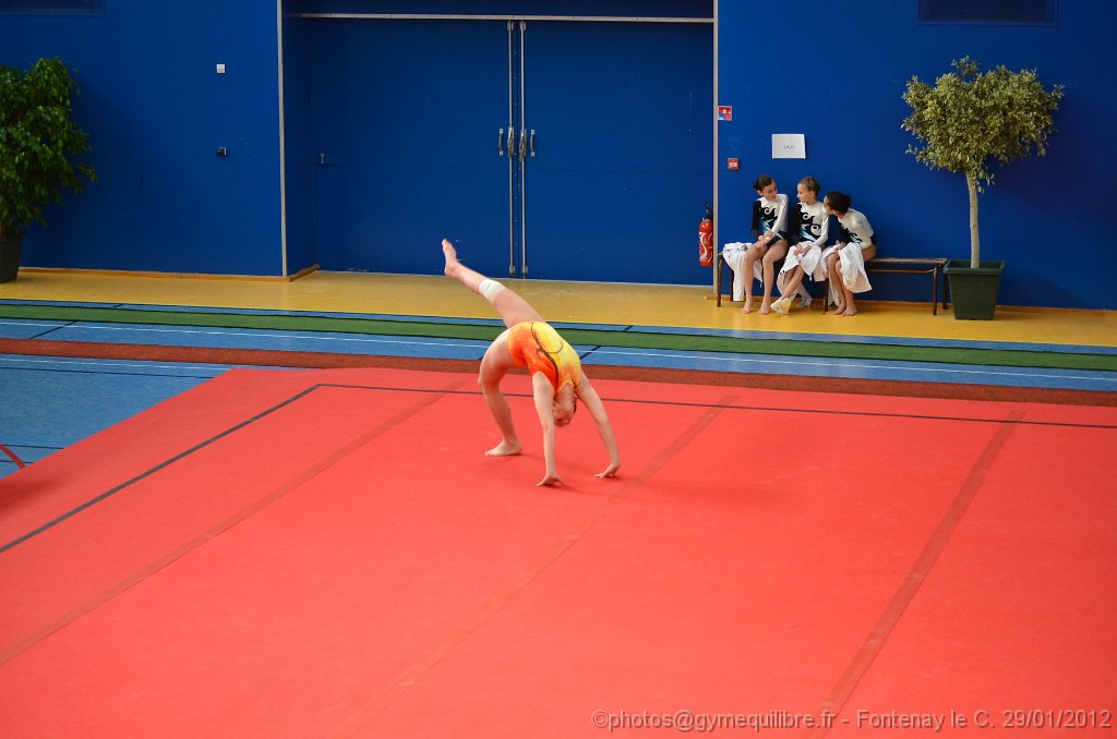 DSC_8687.JPG