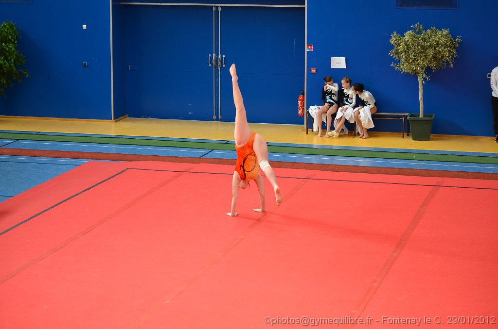 DSC_8688.JPG