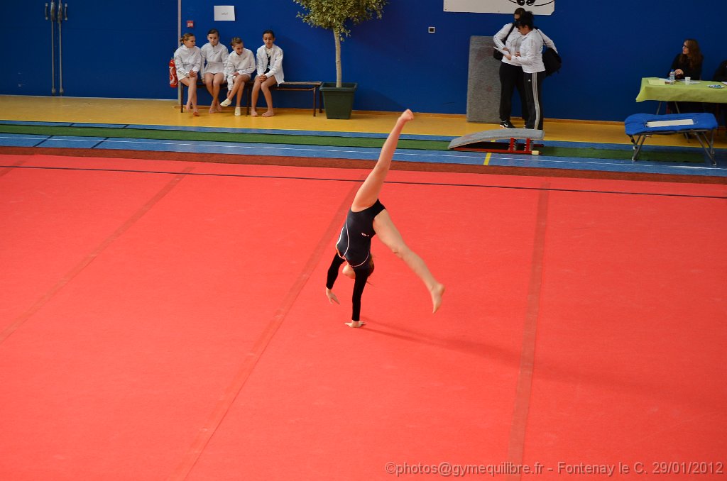 DSC_8712.JPG